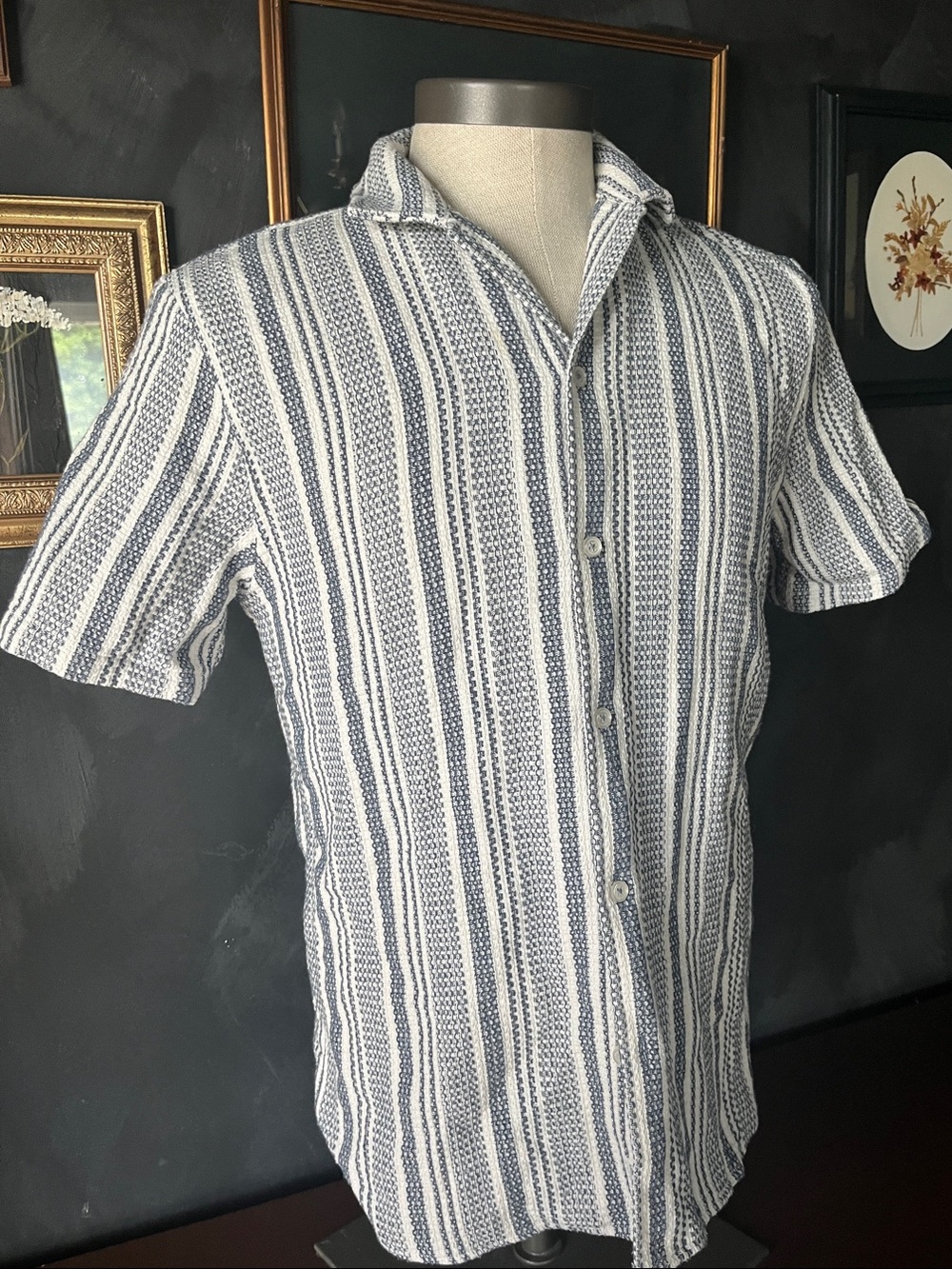 Men's Casual Short-Sleeve Striped Button-Down Shirt - Blue & White